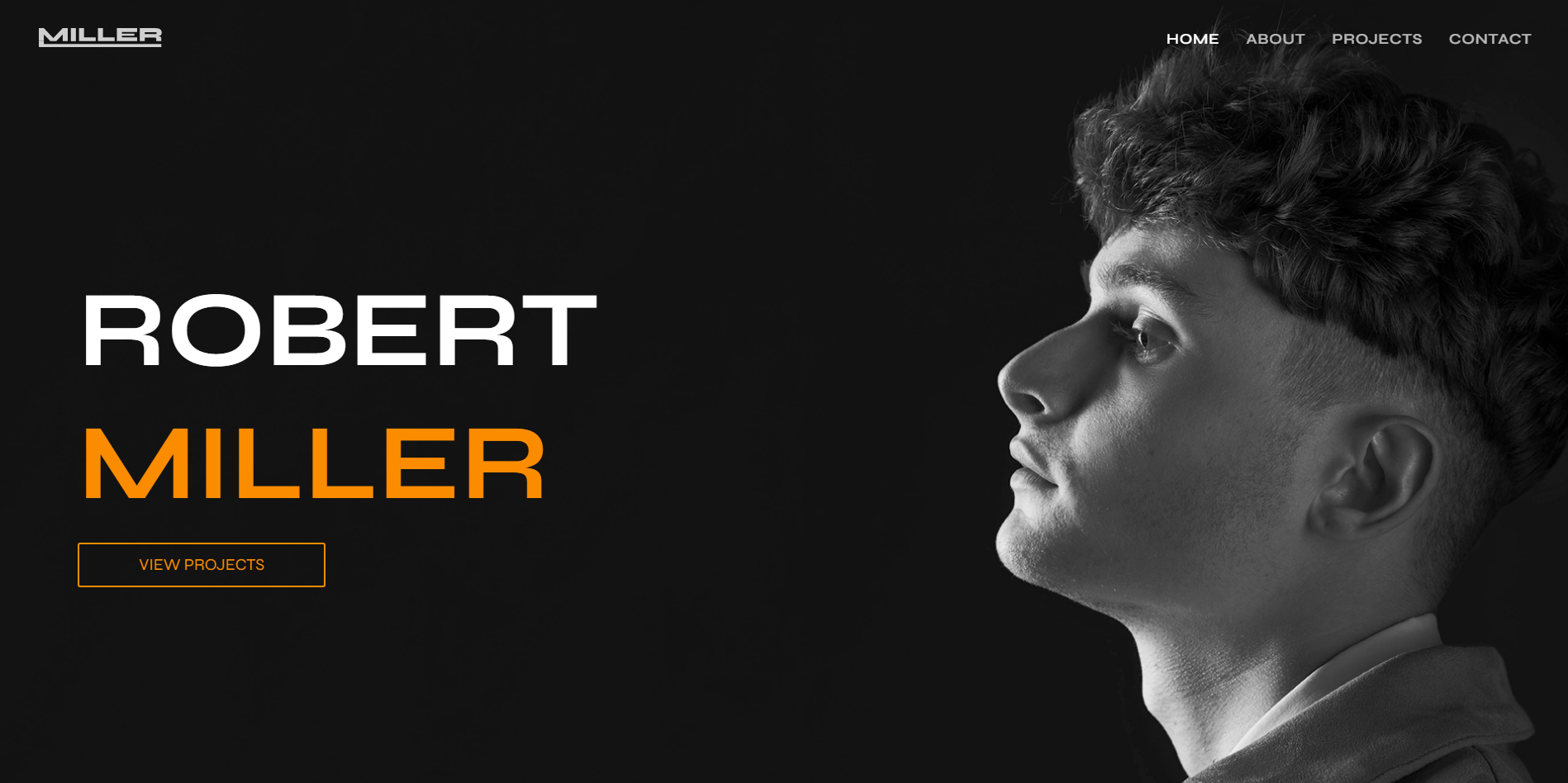 Portfolio Robert Miller